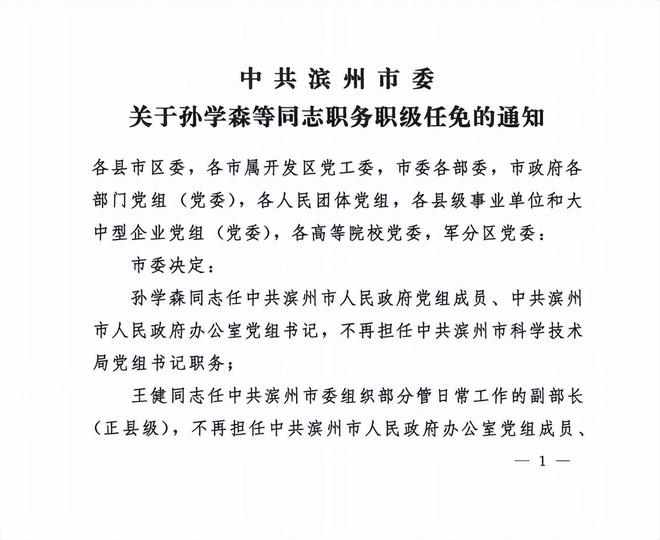 笈笈村委会人事任命揭晓，开启乡村发展新篇章