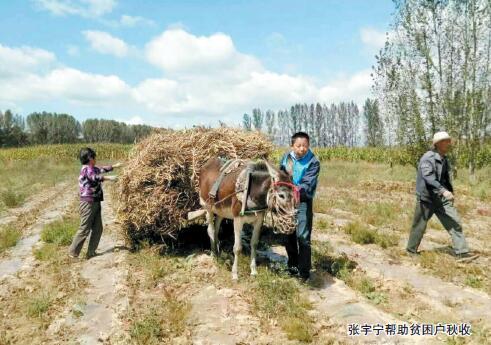 静乐县王村乡最新招聘信息汇总