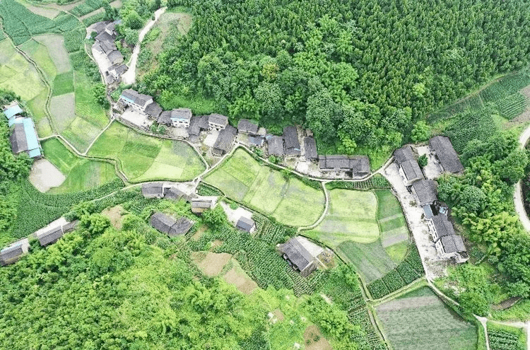 洛碛镇新项目，引领地区发展的强大动力源泉