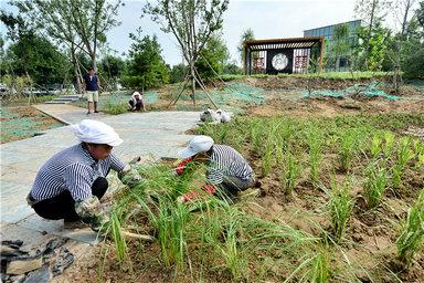 下木达村最新新闻报道概览