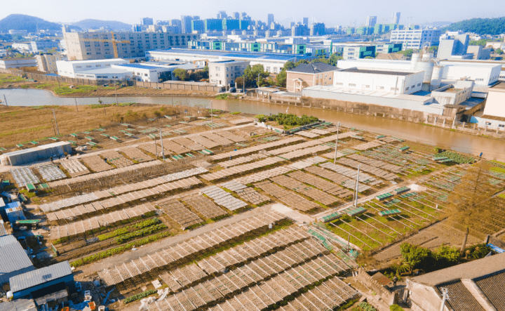 海星街道最新新闻动态报道速递