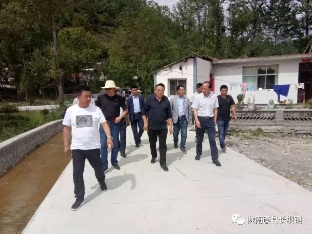 烽火坪村委会最新动态，乡村振兴与社区发展新篇章开启