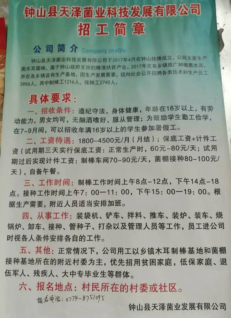 谢欧村最新招聘信息全面解析