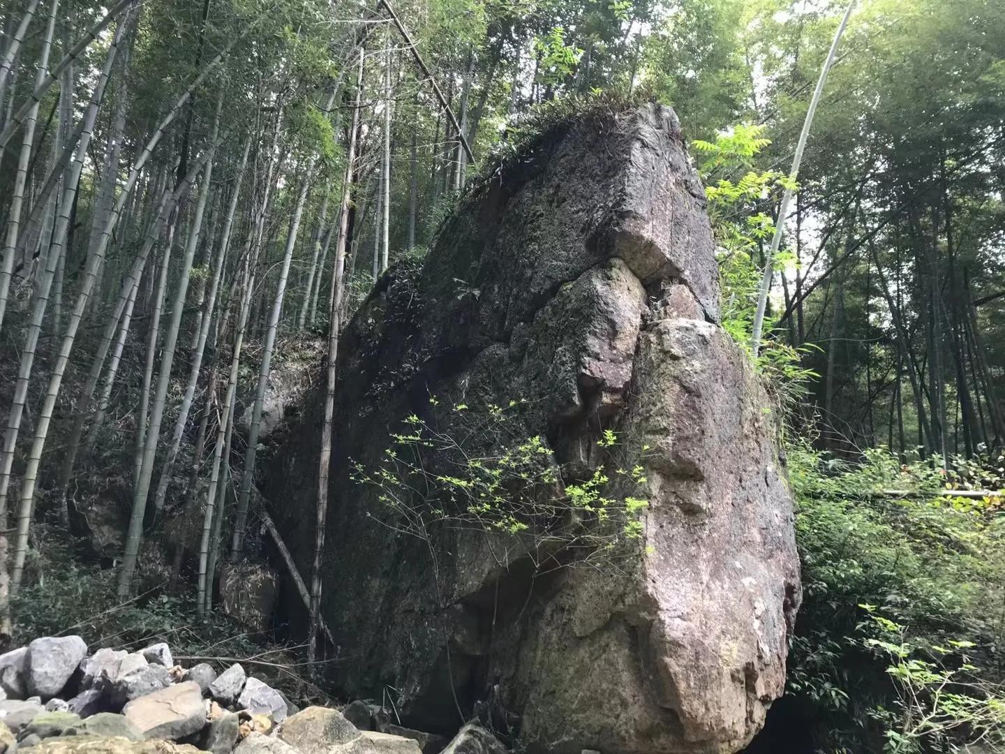 岭南乡交通新动态，发展助力乡村振兴，经济腾飞之路