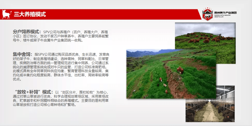 石登乡最新招聘信息全面解析