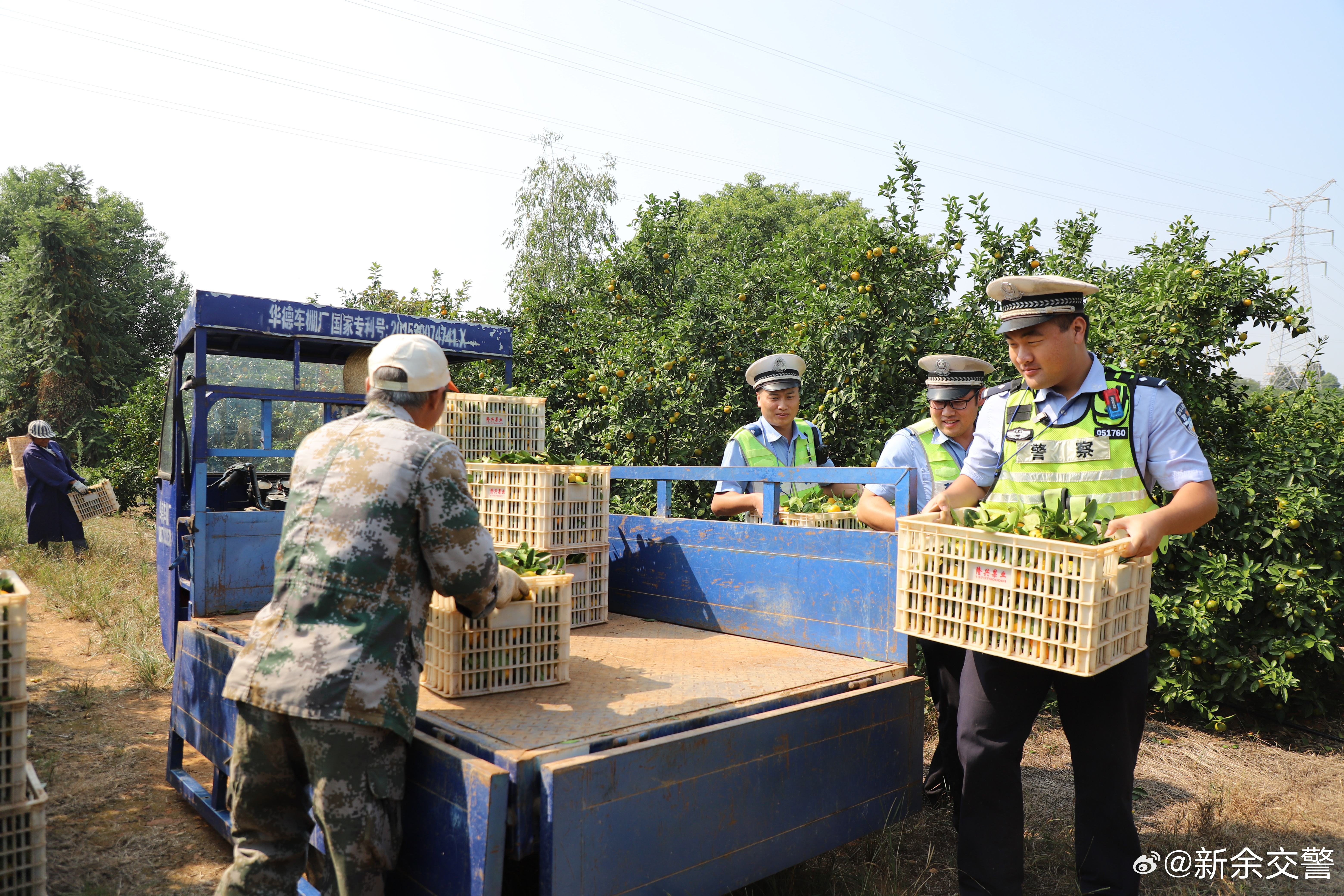 交通助力农场繁荣，最新安置农场交通新闻解读