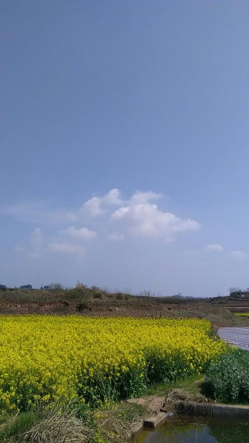 黄铺镇天气预报更新通知