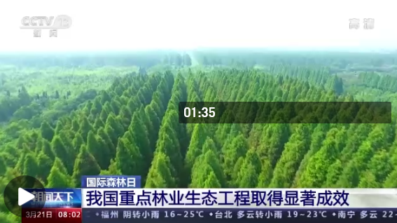 河伯岭林场天气预报更新通知