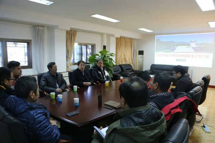 东兴林场领导团队引领未来发展新篇章