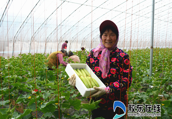 谭格庄镇打造繁荣与进步新时代蓝图，最新发展规划揭秘