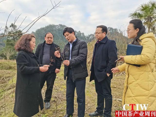 水打田乡交通建设日新月异，助力乡村经济发展新闻速递