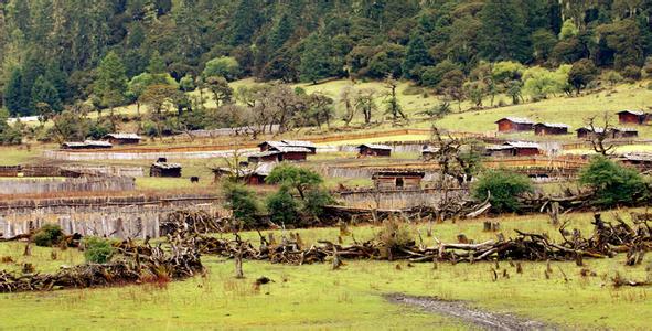 笨扎村天气预报更新通知