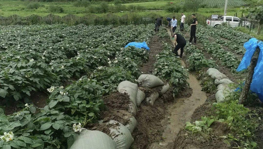 竹园社区天气预报更新通知