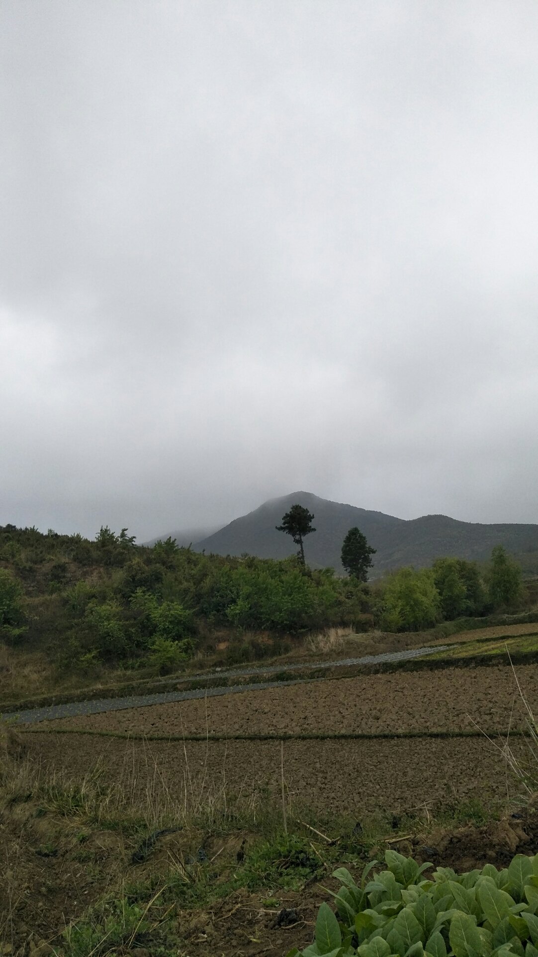 庄乡最新天气预报通知