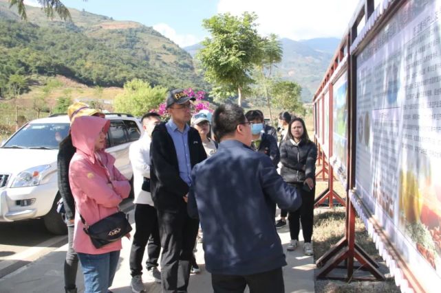 怒江傈僳族自治州市林业局推动生态振兴项目，绿色发展新篇章