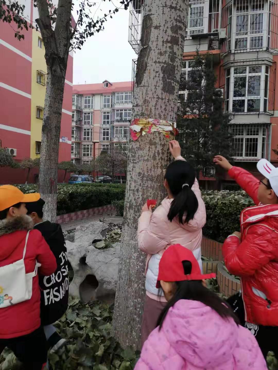 迎春桥社区新项目，重塑城市生活品质的新篇章