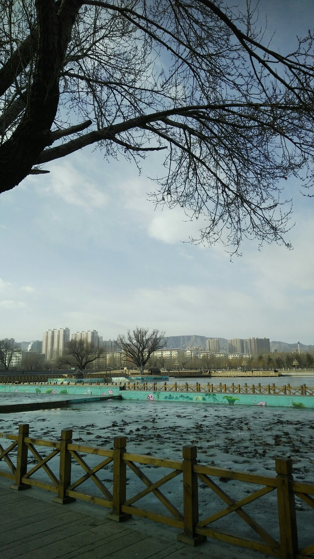 大同市矿区四老沟街道天气预报更新通知